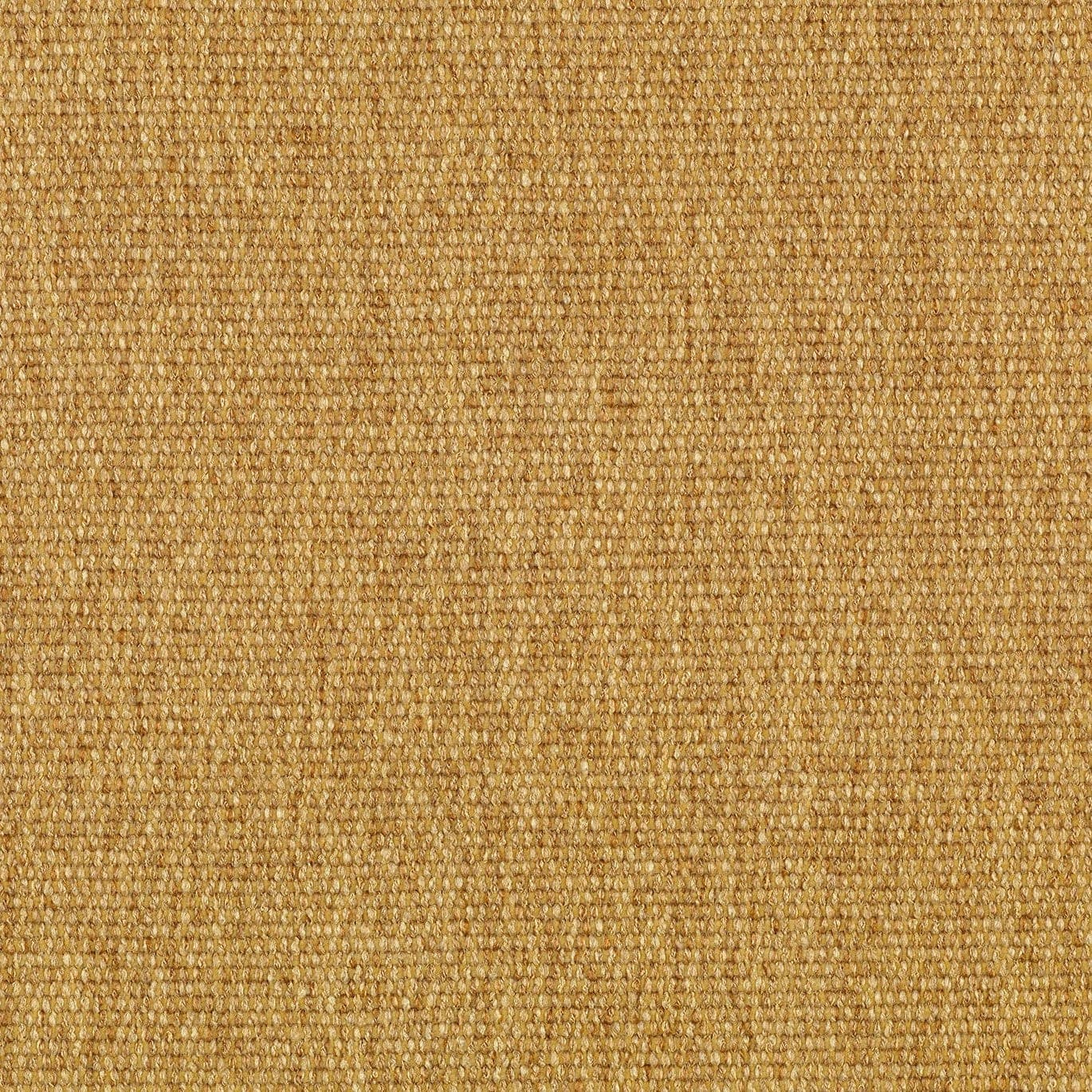 Oyster Wellness Seat