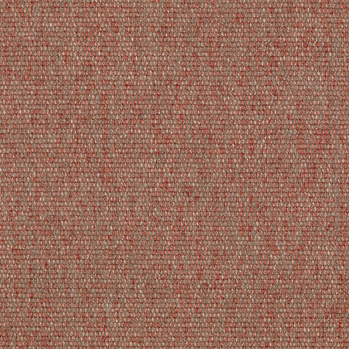 Oyster Wellness Seat