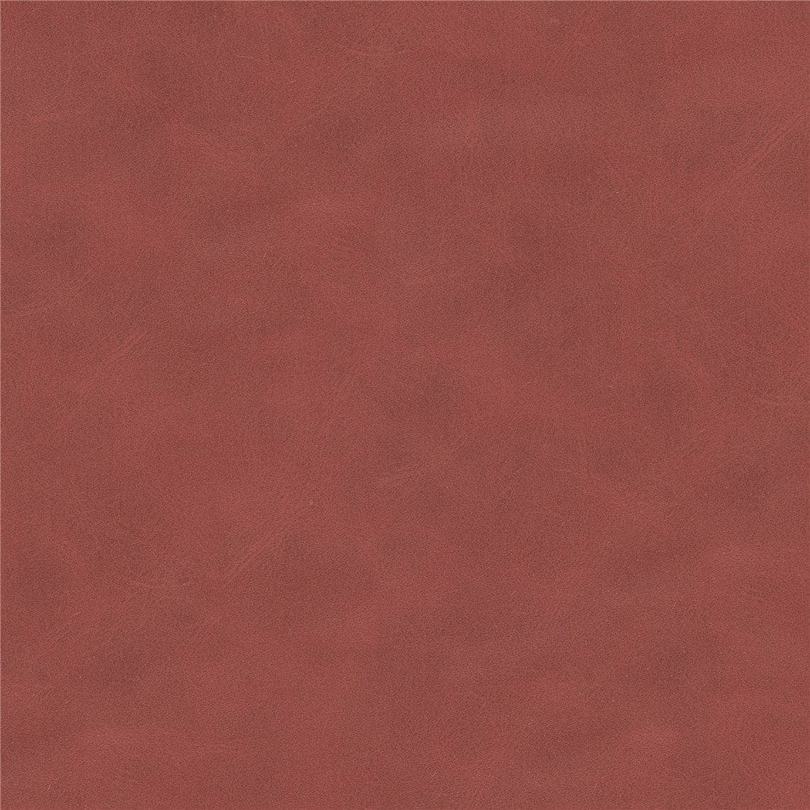 Oyster Wellness Seat