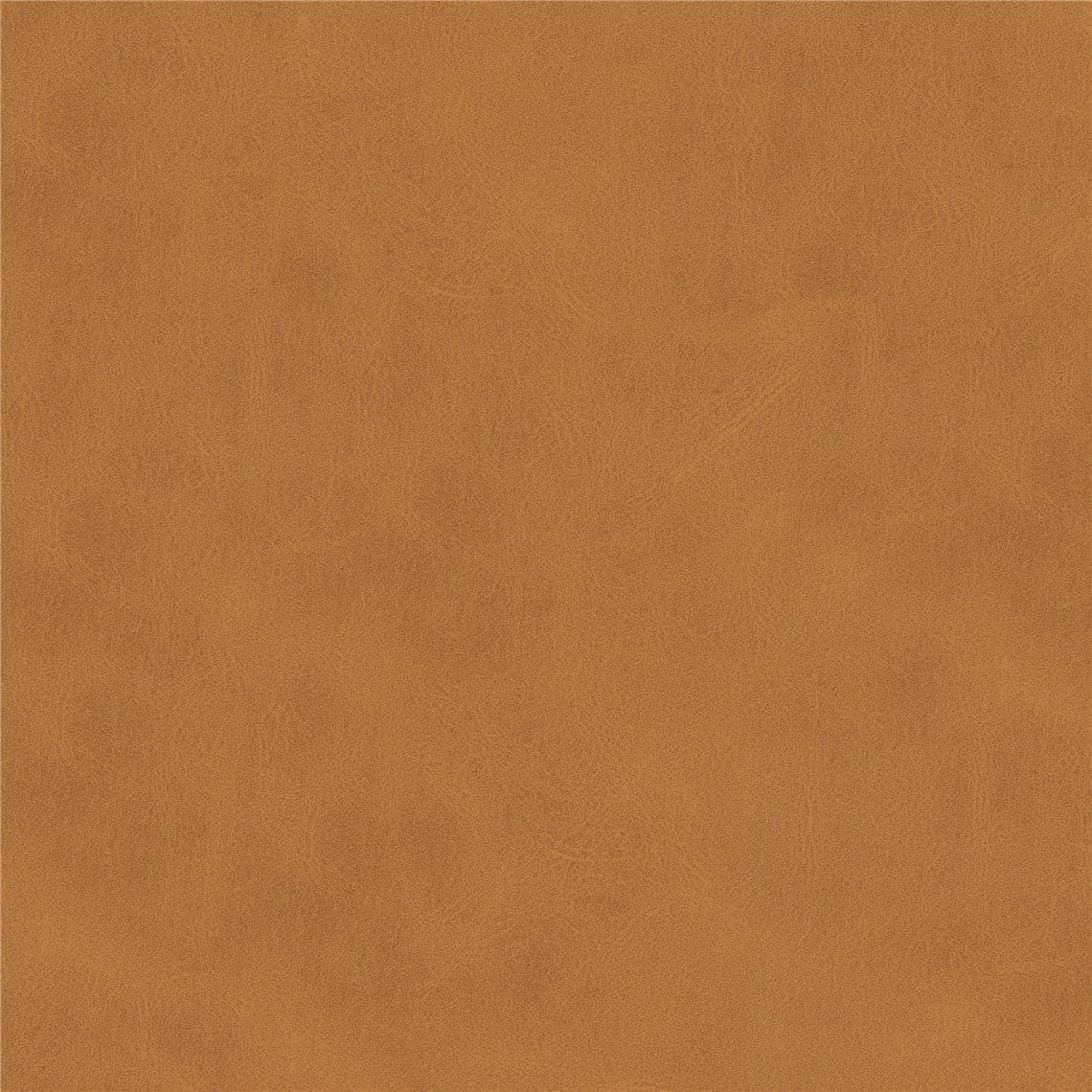 Oyster Wellness Seat