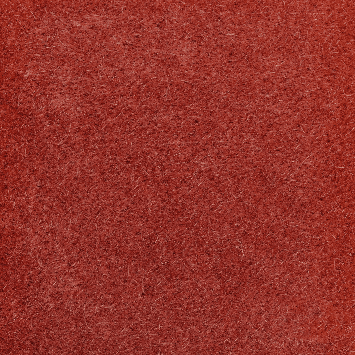 Oyster Wellness Seat